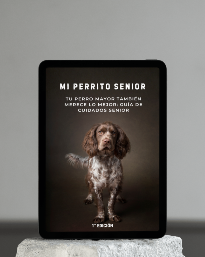 Guia para perro senior adulto mayor