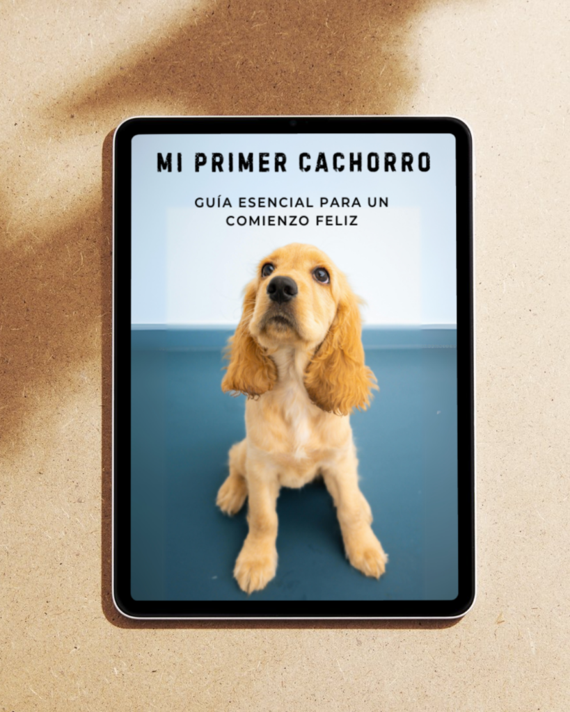 Guia para mascota cachorro